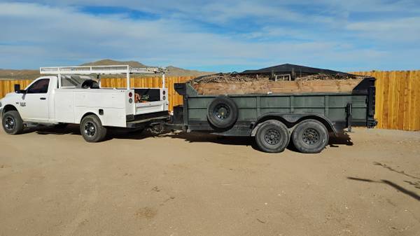 Tree and Clean up Service (Lancaster)