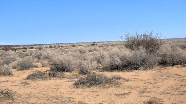 $8,100 Land Boron CA Near 20 Mule Train Road (Boron)