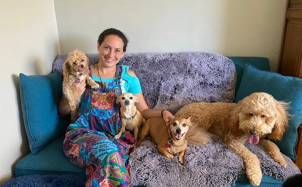 Dog Boarding, Dog Sitting Pet Sitter & Doggy Daycare in Woodland Hills (Woodland Hills)