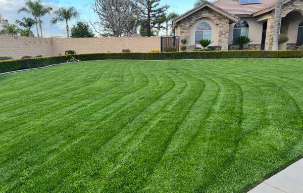 GARDENING Services| CLEAN UPS| (Bakersfield ca)