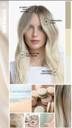 Blonde hair model needed for a Wella Professional Event (glendora)