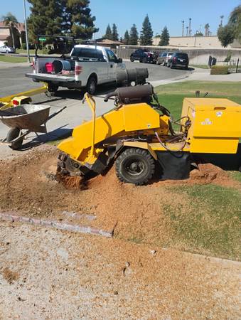 Stump grinder (Bakersfield)