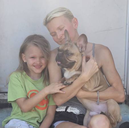 Hollywood Dog, Cat Boarding, Daycare, Sitter 20+ Yrs of  Care (Hollywood)