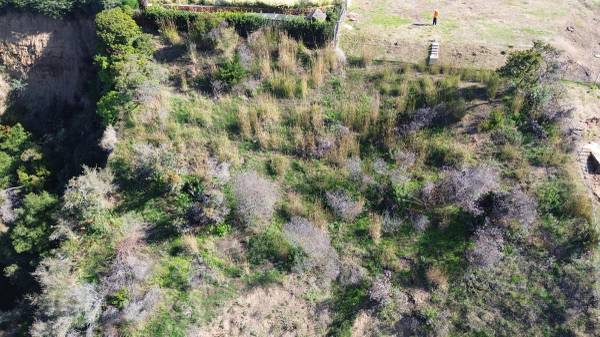 need Brush Clearance    start booking your (Anywhere in the San Fernando Valley and surrounding areas)