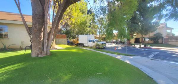 Tree trimming and hedge manicure Gardener (Northridge)