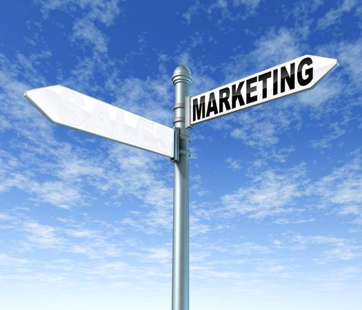 I help with mass emails, calls, websites & social media