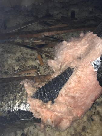 Rodent Solution (Sherman oaks)