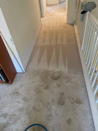 Some guests bring wine… others bring muddy paws.  (Woodland Hills)