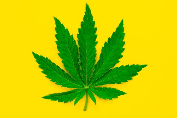 Budtender/Receptionist Needed ASAP! (SAN FERNANDO VALLEY/RESEDA/ GRANADA HILLS)