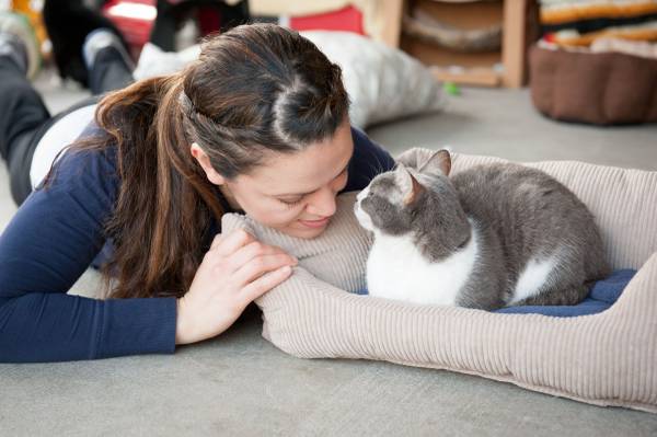 Cat Sitters & Dog Walkers (Santa Monica)