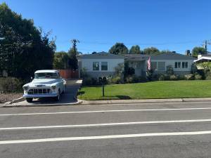 Live in Home Exchange help with home and Dogs