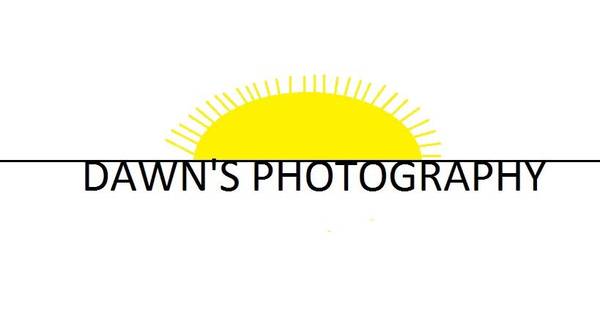 Dawn's Photography - All Photos Under the Sun (Lancaster)