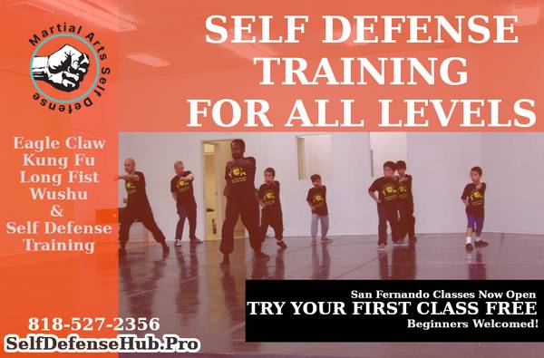 Kung Fu & Tai Chi Classes - off Rinaldi St. and 5 fwy (San Fernando)