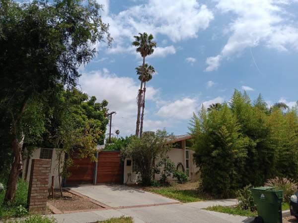 considering buying a home / real estate around SFV ? (sfv)