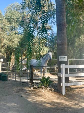 Now Hiring Experienced Ranch Hand (Shadow Hills, CA) (Shadow Hills)