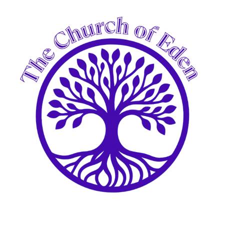 Spiritual Mindset Coaching - Remote - $100,000 level in first year