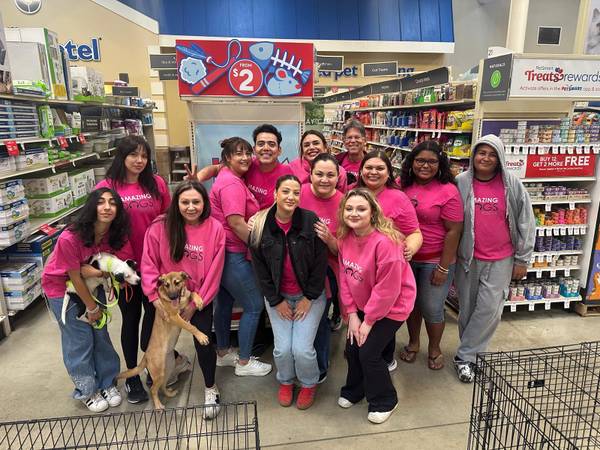 Dog Adoption Event Manager (San Diego)