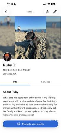 Dog walking / sitting (Altadena)