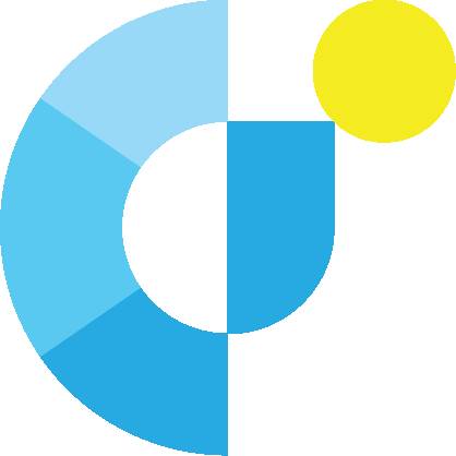 Program Director