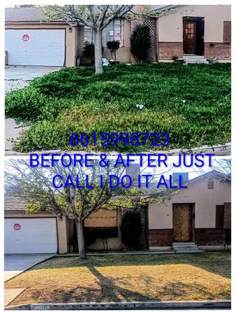 Brock of all trades overgrowth and trash removal (Bakersfield)