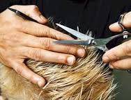 Men's Body Waxing, Trimming, Manscaping, Brazilia, Haircuts (Santa Clarita, Sylmar, San Fernando)