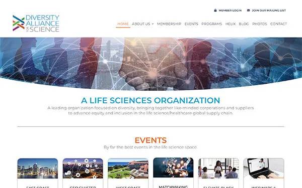 Custom Web Design That Gets You Noticed (Sherman Oaks)
