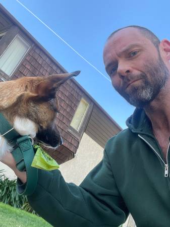 Dog walking service — scheduled in advance or last minute needs!