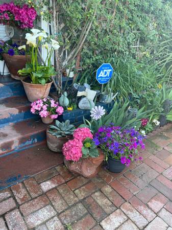 SPRINKLER REPAIR FREE ESTIMATES (All Antelope Valley.Acton, Leona valley, Lake, Hughes)