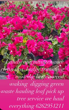 Landscape cleanups & junk removal6262951211 (Altadena Pasadena Monrovia la cresenta Arcadia Glendora)
