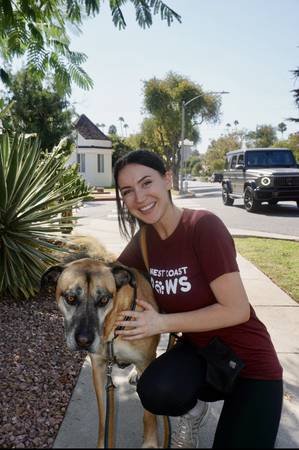Dog Walkers and Pet Sitters Needed at $25+ per Hour in West Hollywood Area