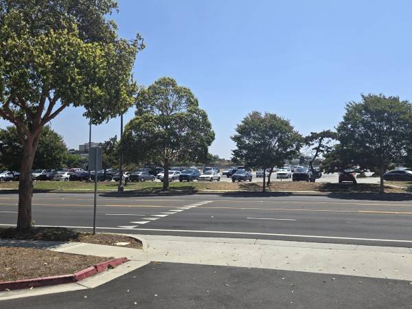 $254 VERIFY YOUR BUSINESS TODAY! VIRTUAL OFFICE AVAILABLE! (Torrance)